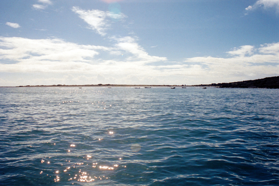 Fish Camp At Isla San Martin