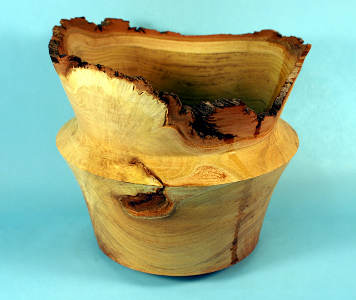 Vase, Black Locust, Unfinished